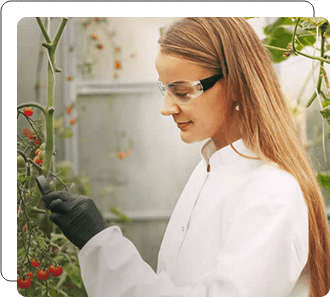 Woman in lab coat and goggles examines berries on a shrub